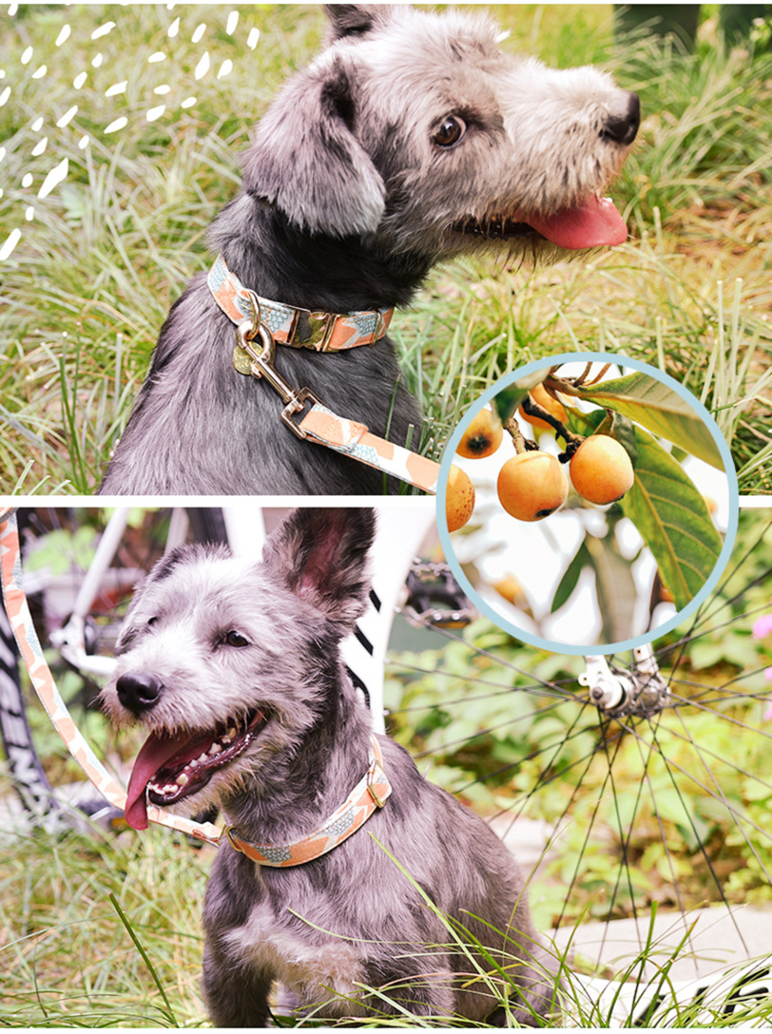 PawsHolic Tree Bark Leash 1.5m