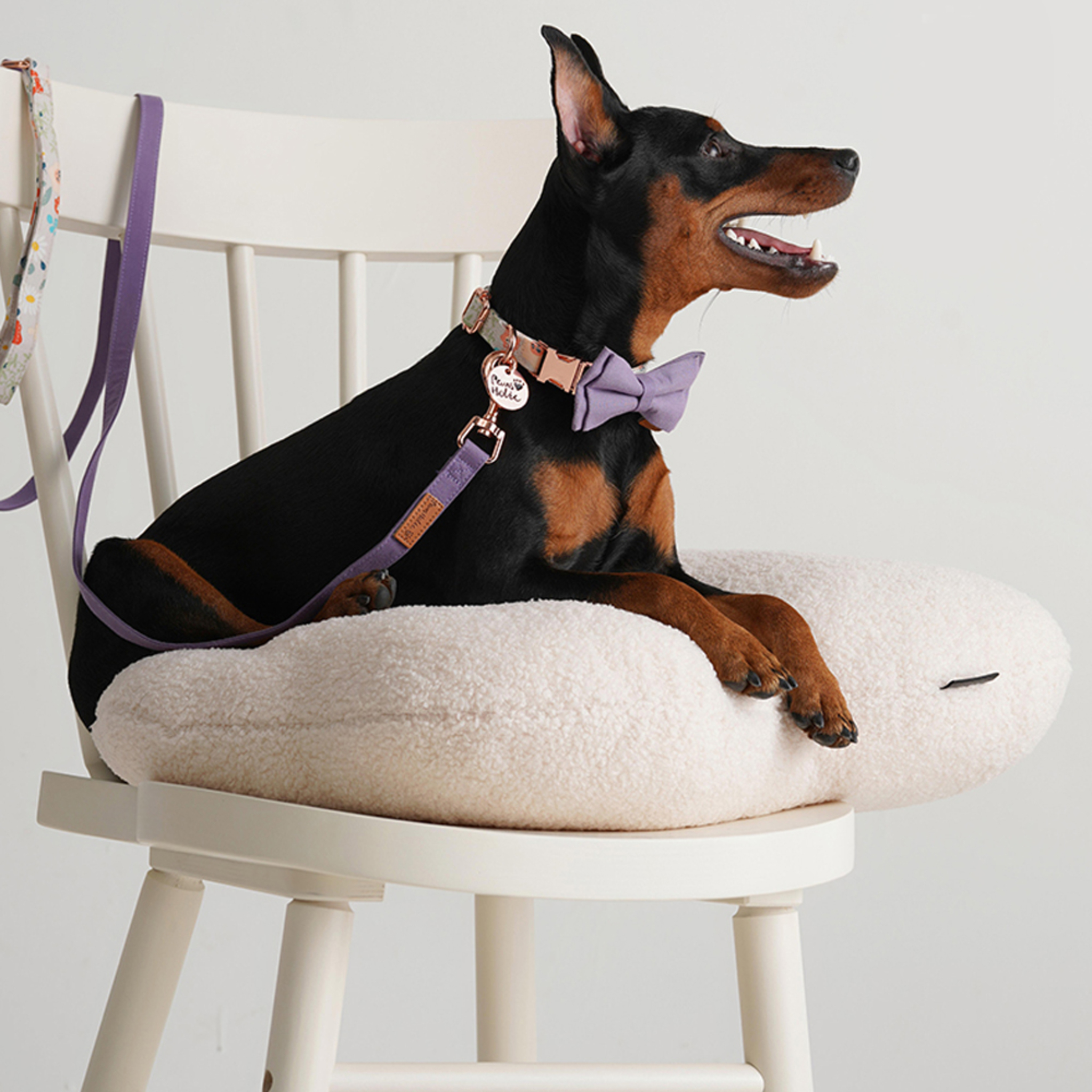 PawsHolic Tree Bark Leash 1.5m