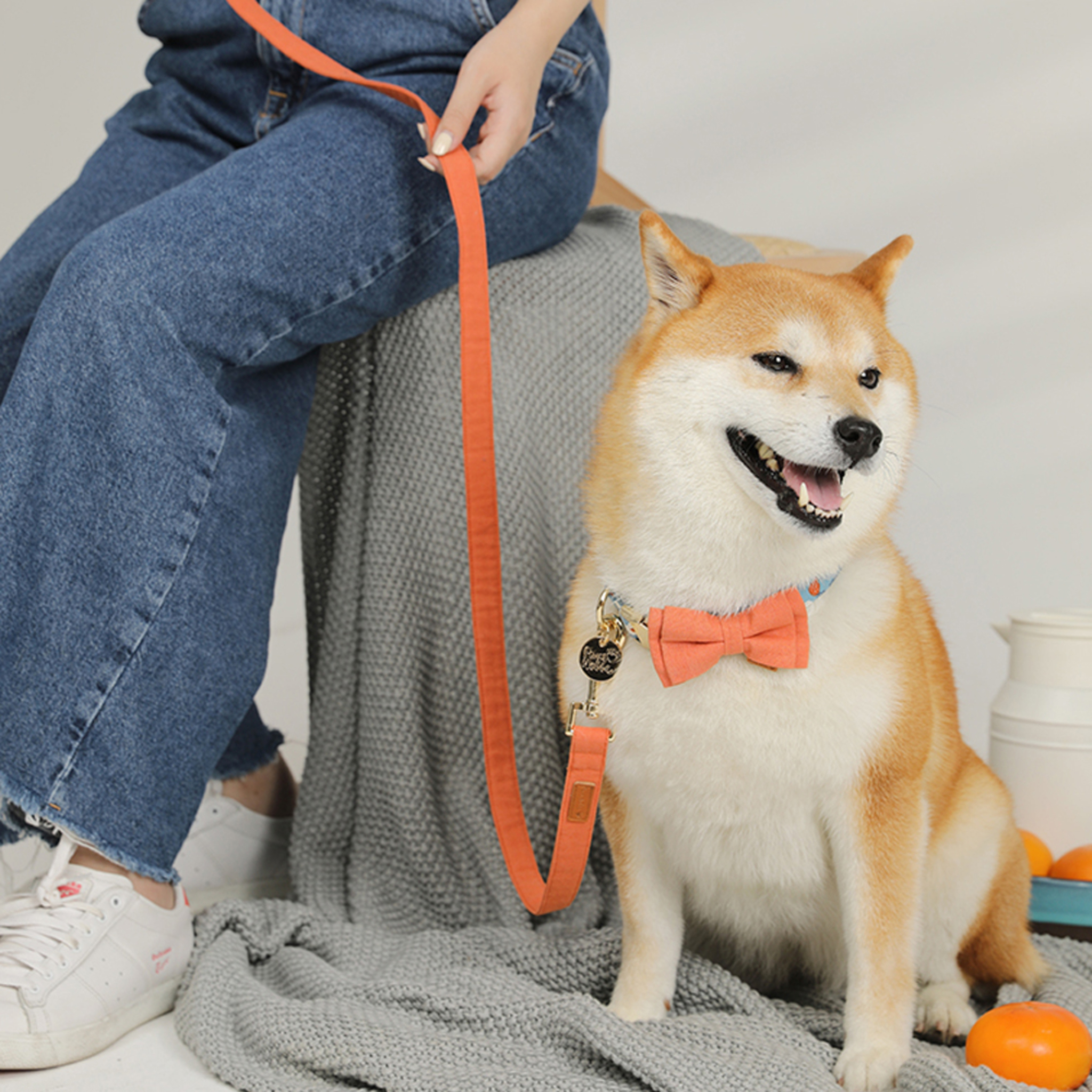 PawsHolic Sunny Sweet Pear Leash 1.5m