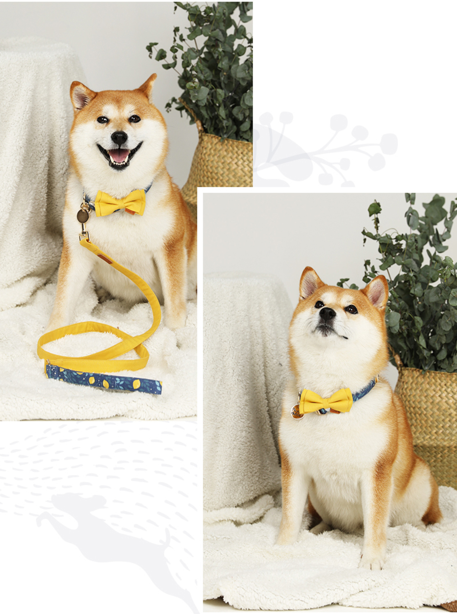 PawsHolic Lemon Tree Leash 1.5m