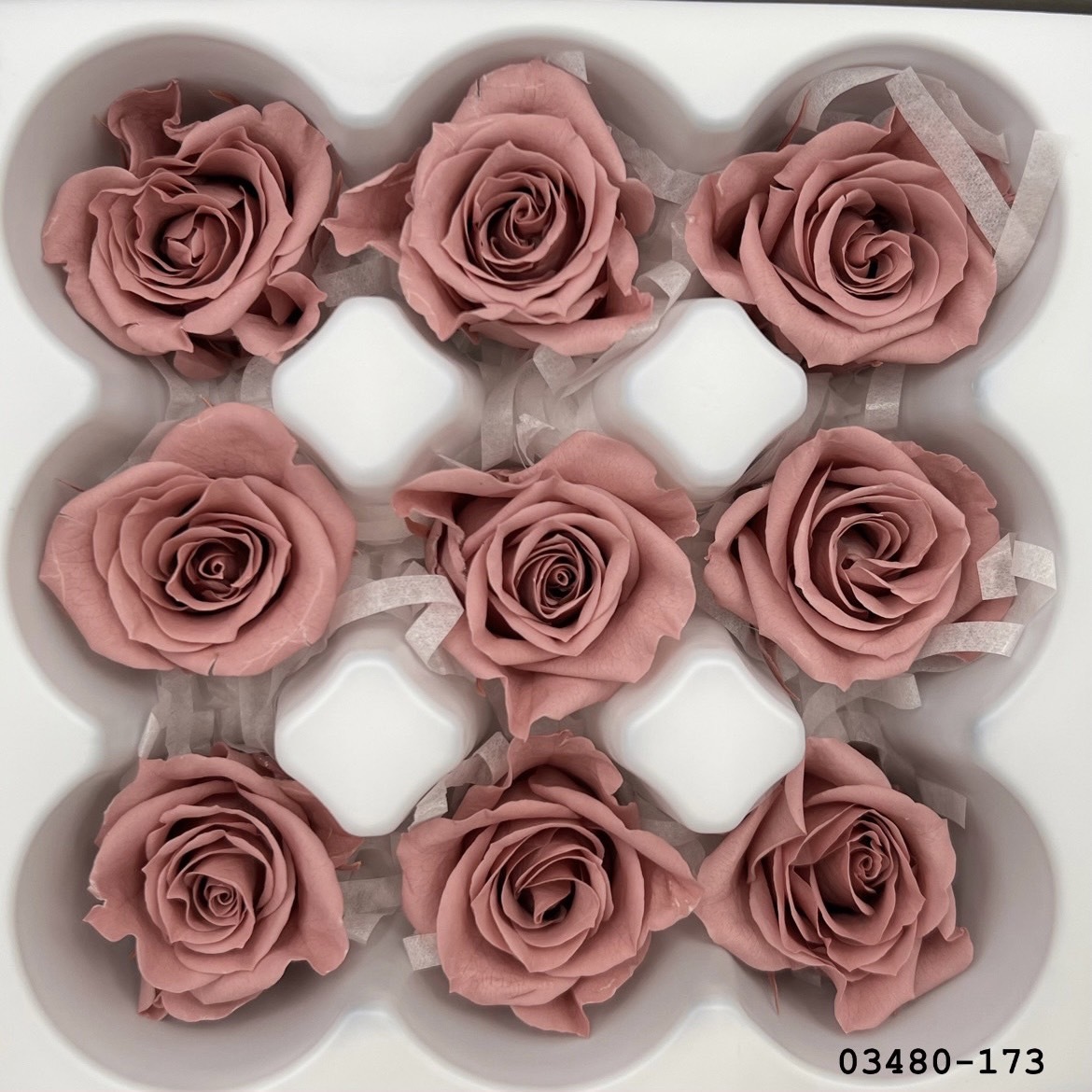 不凋小輪玫瑰(9朵) 03840-173