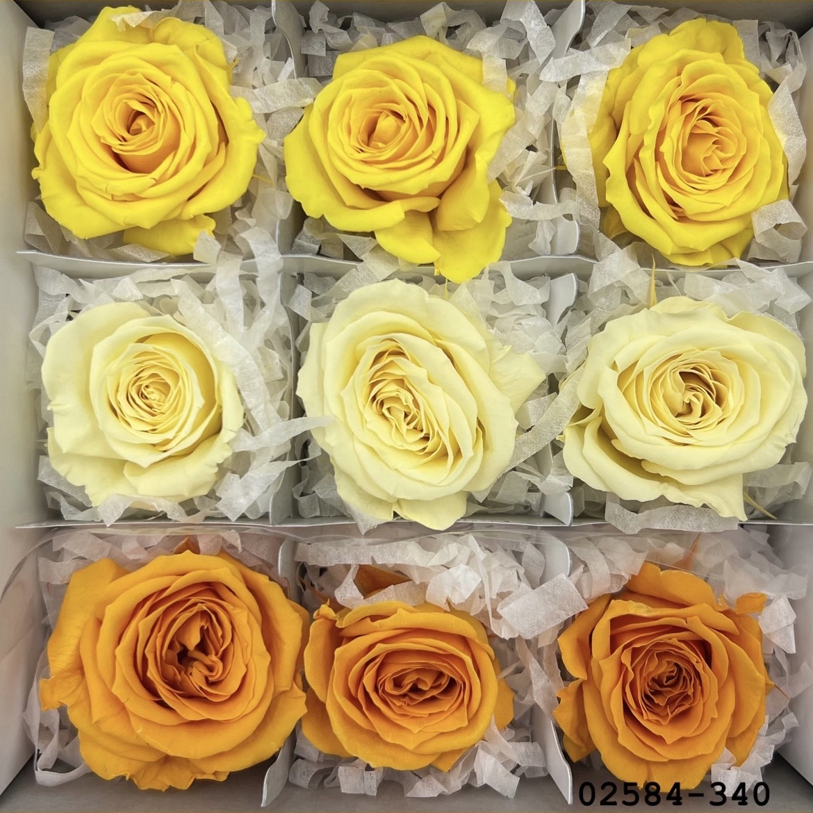 不凋小輪玫瑰(9朵) 02584-340