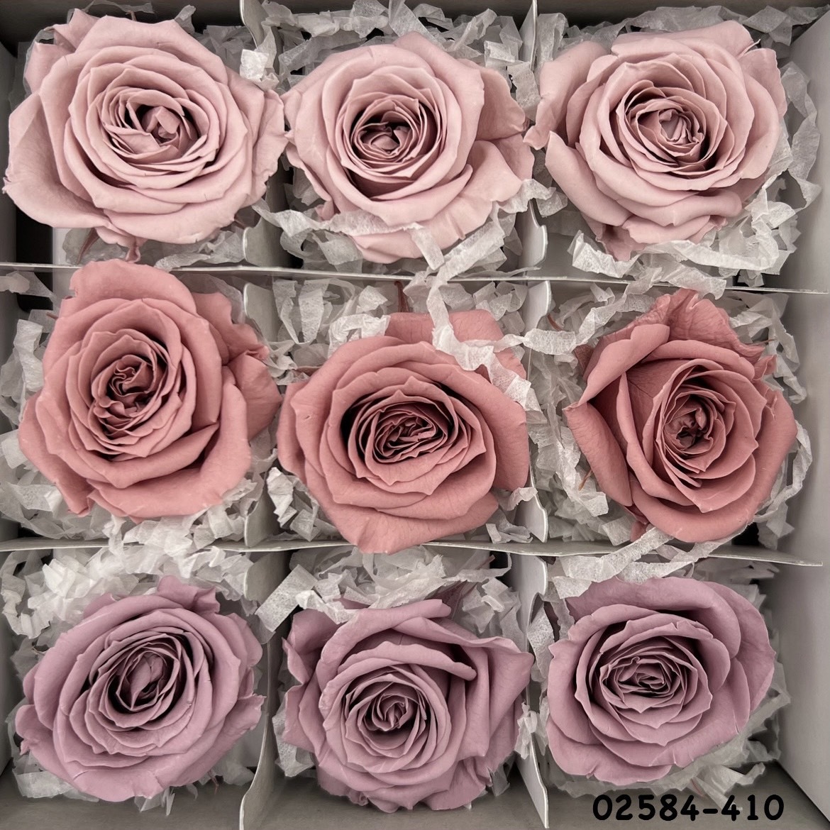 不凋小輪玫瑰(9朵) 02584-410
