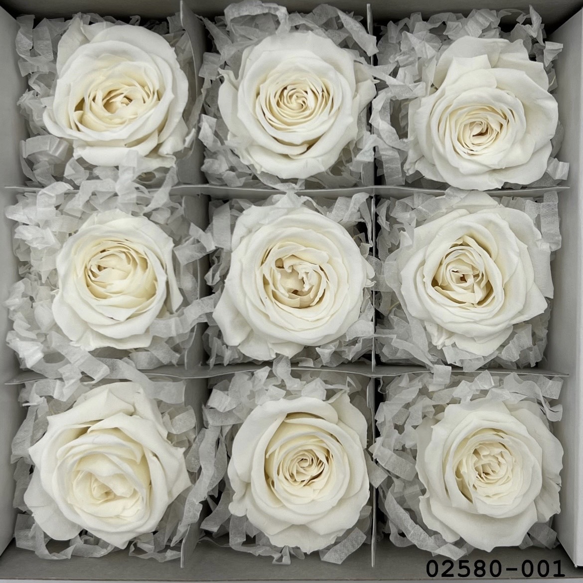 不凋小輪玫瑰(9朵) 02580-001