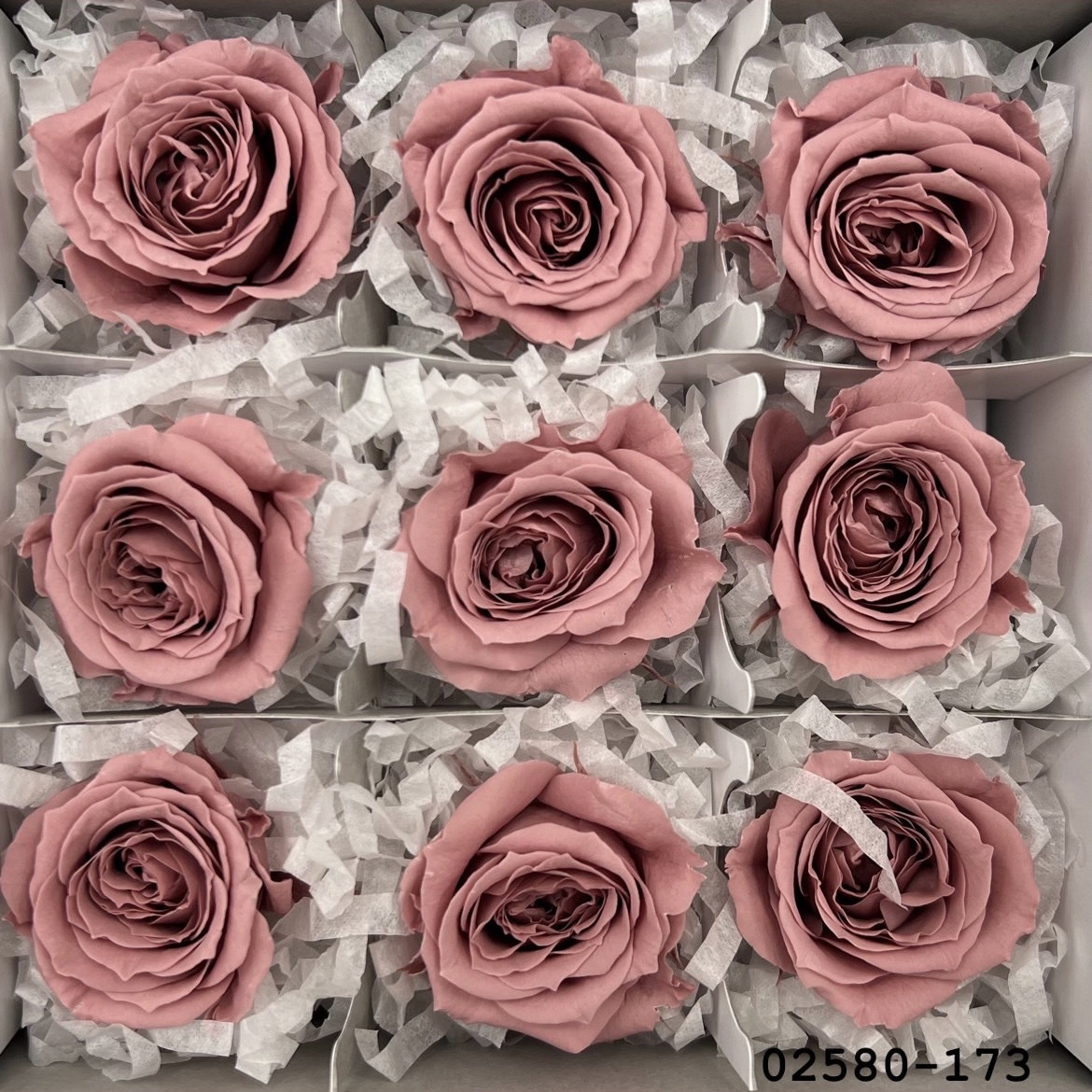 不凋小輪玫瑰(9朵) 02580-173