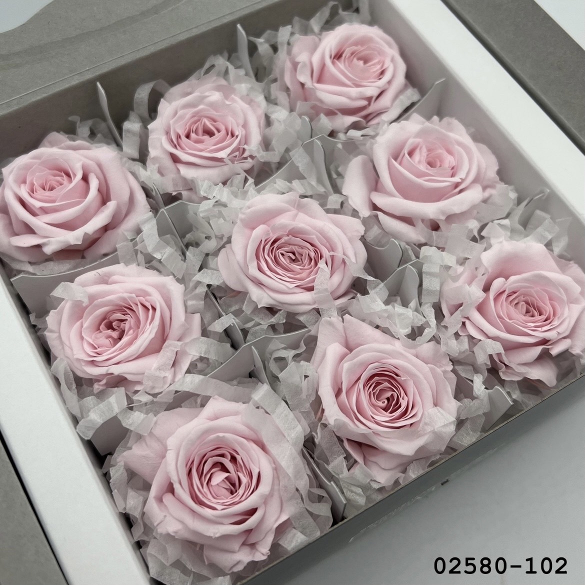 不凋小輪玫瑰(9朵) 02580-102