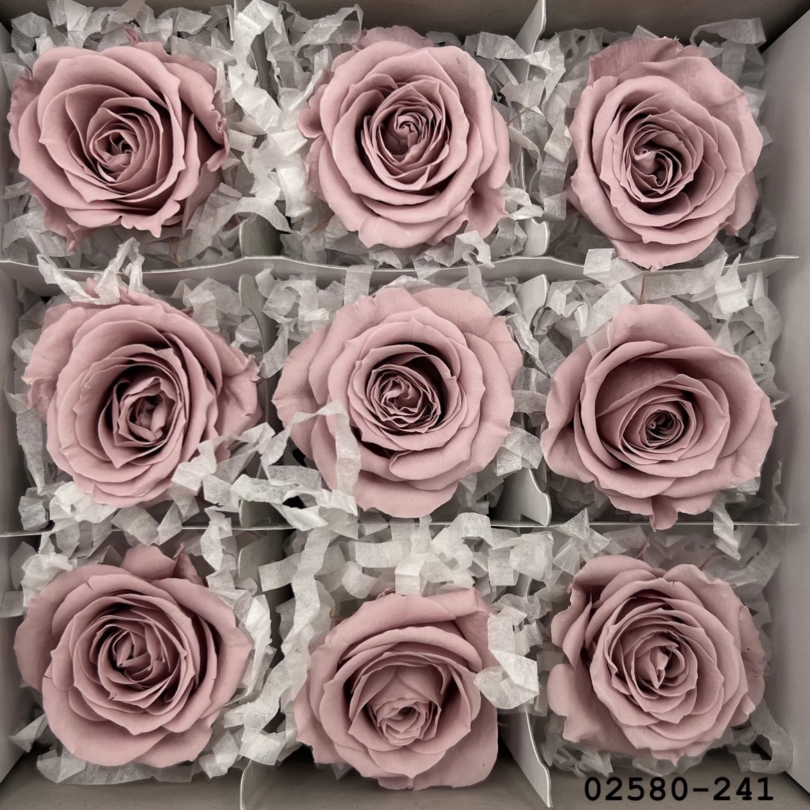 不凋小輪玫瑰(9朵) 02580-241