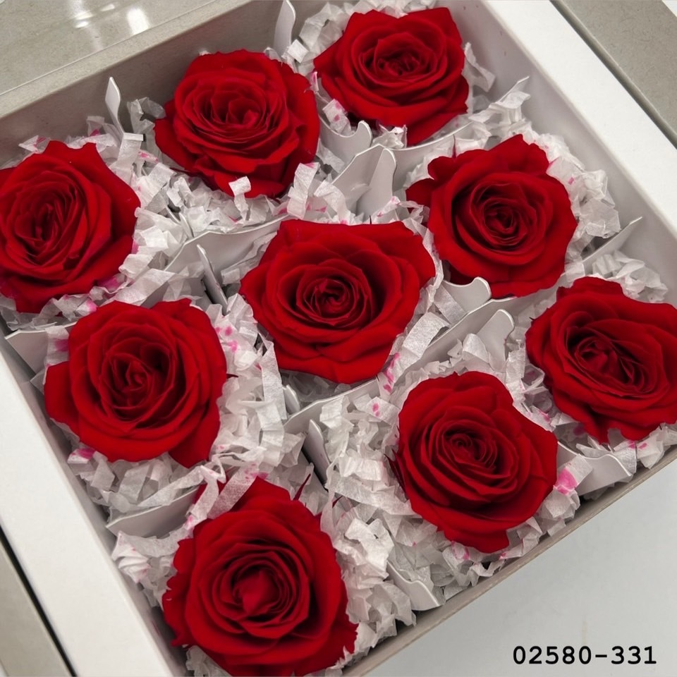 不凋小輪玫瑰(9朵) 02580-331