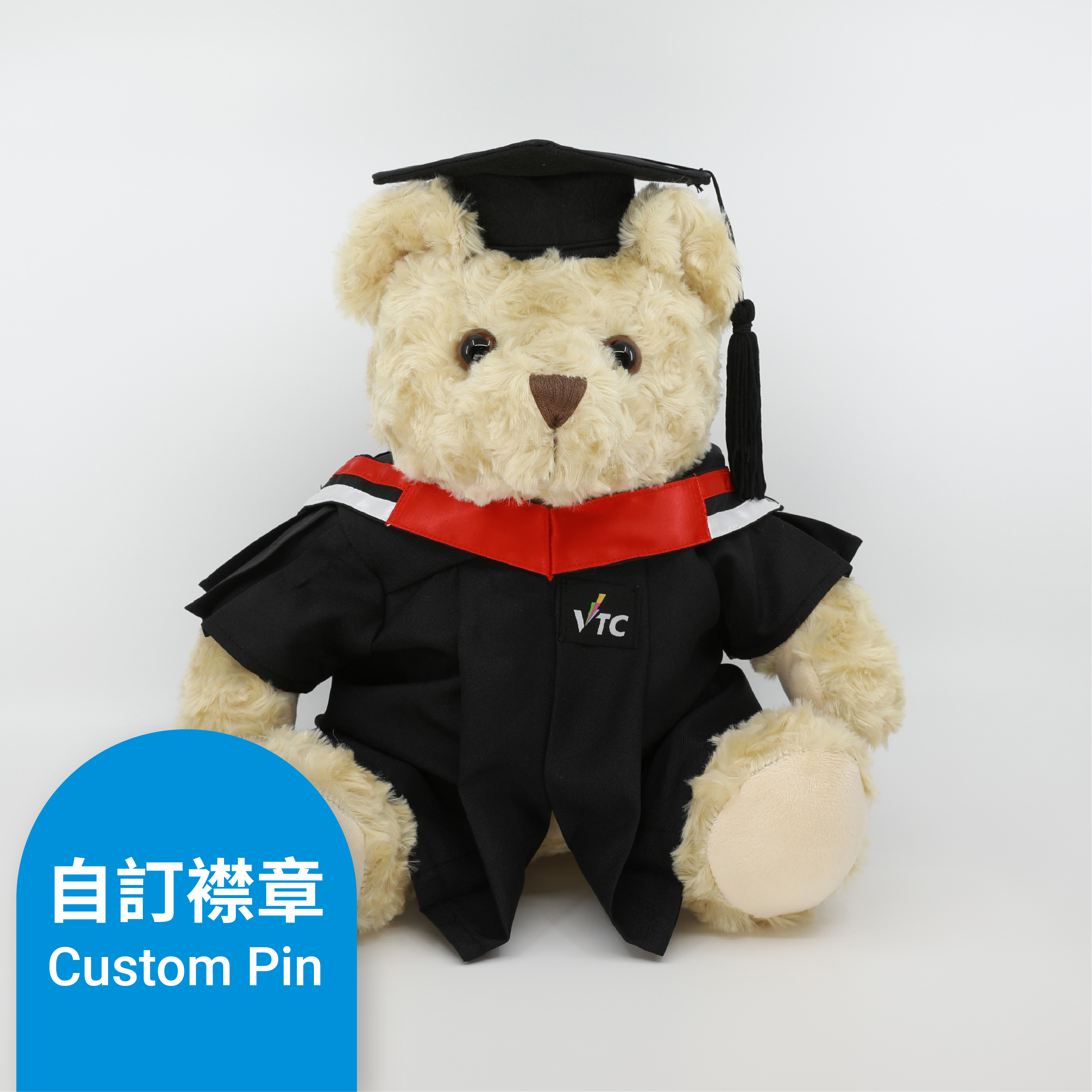 VTC 畢業熊 (高級文憑) + 自訂襟章