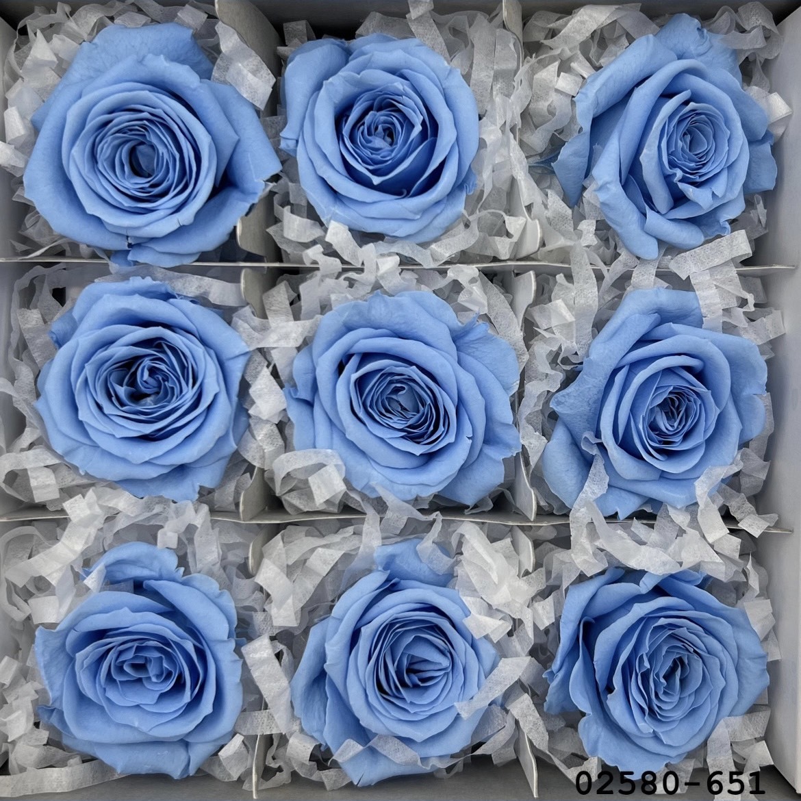 不凋小輪玫瑰(9朵) 02580-651