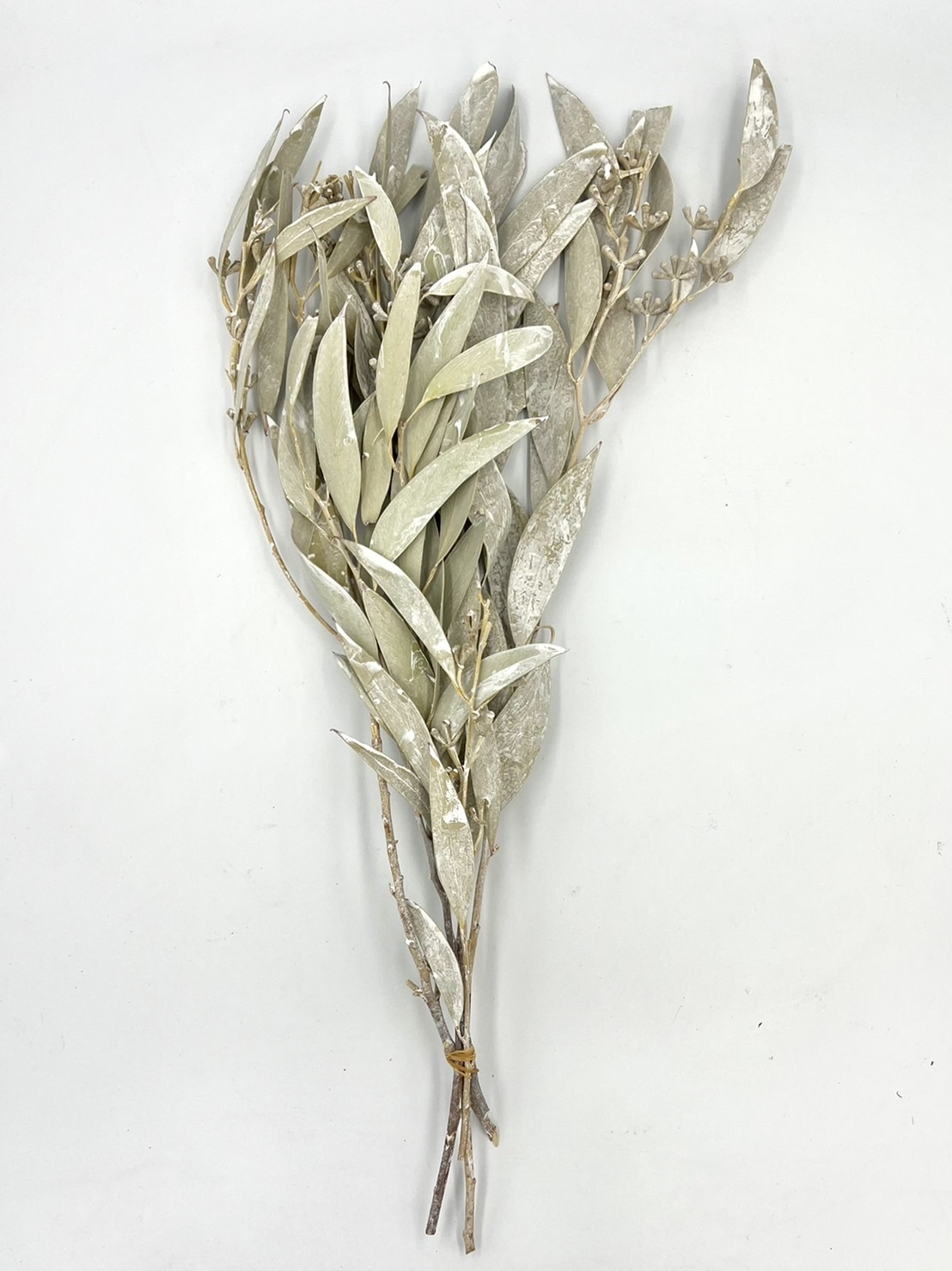 琥珀葉-刷白40150-012