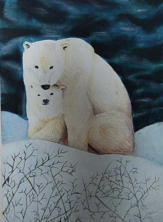 高年級組 優選獎