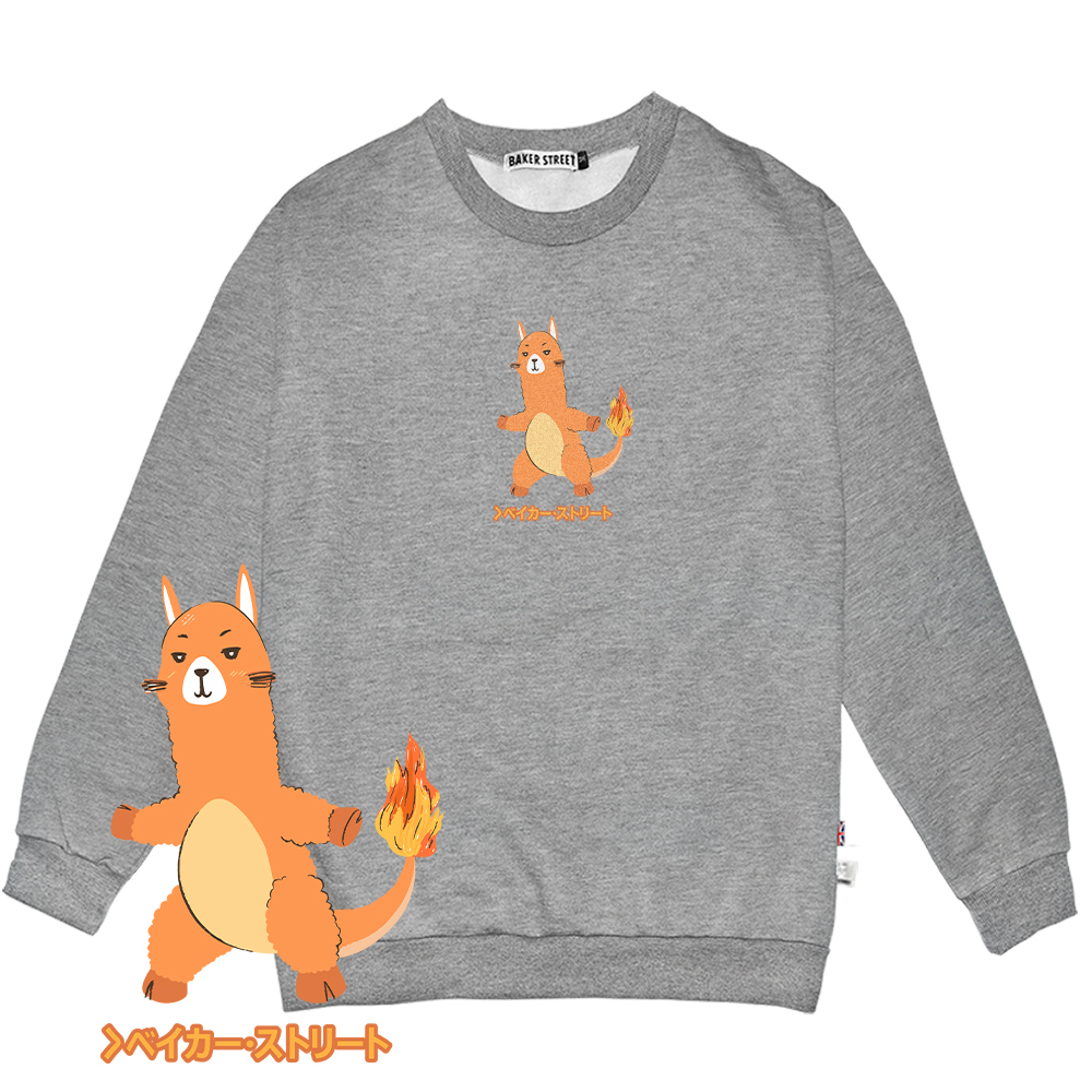 Charmpaca 火龍駝 高磅數長袖圓T