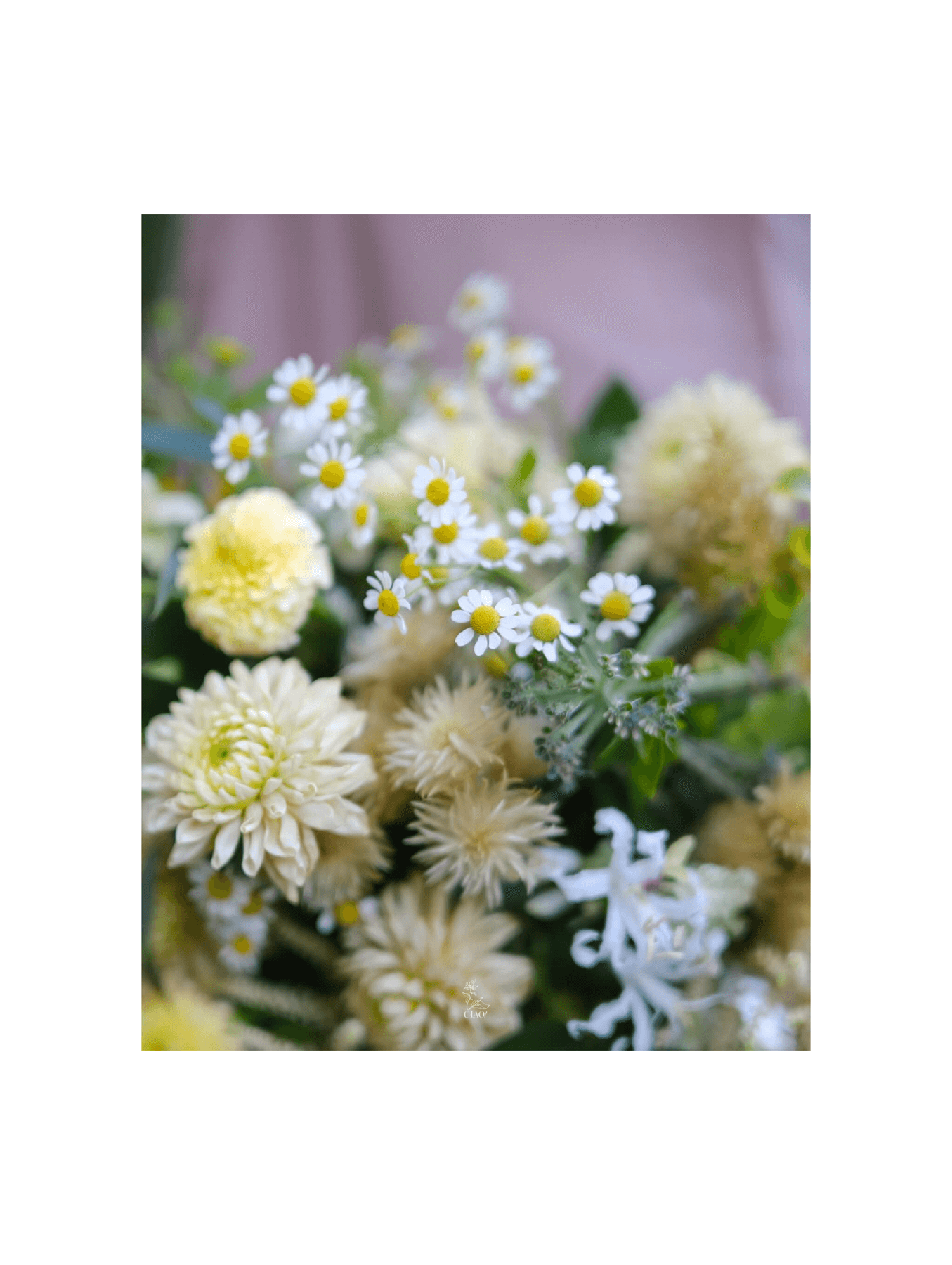 巧偶花藝_捧花精選_白綠黃