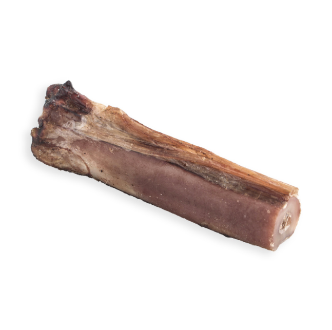 Dear Deer Freeze Dried Deer Shank Bone Small (1pc) [Dog Snack]