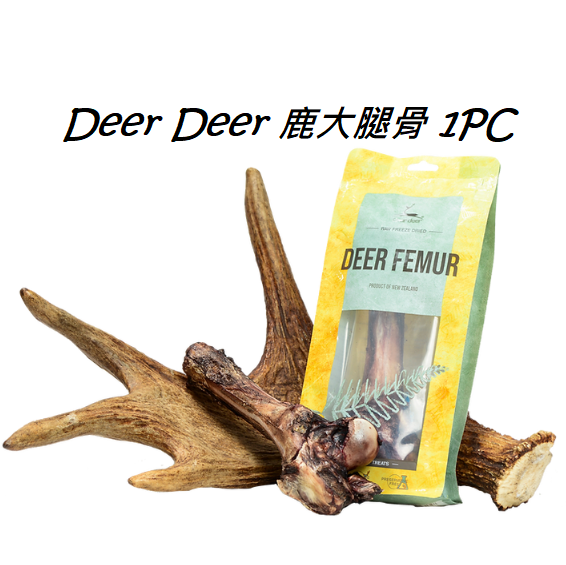 Dear Deer- 鹿大腿骨1PC