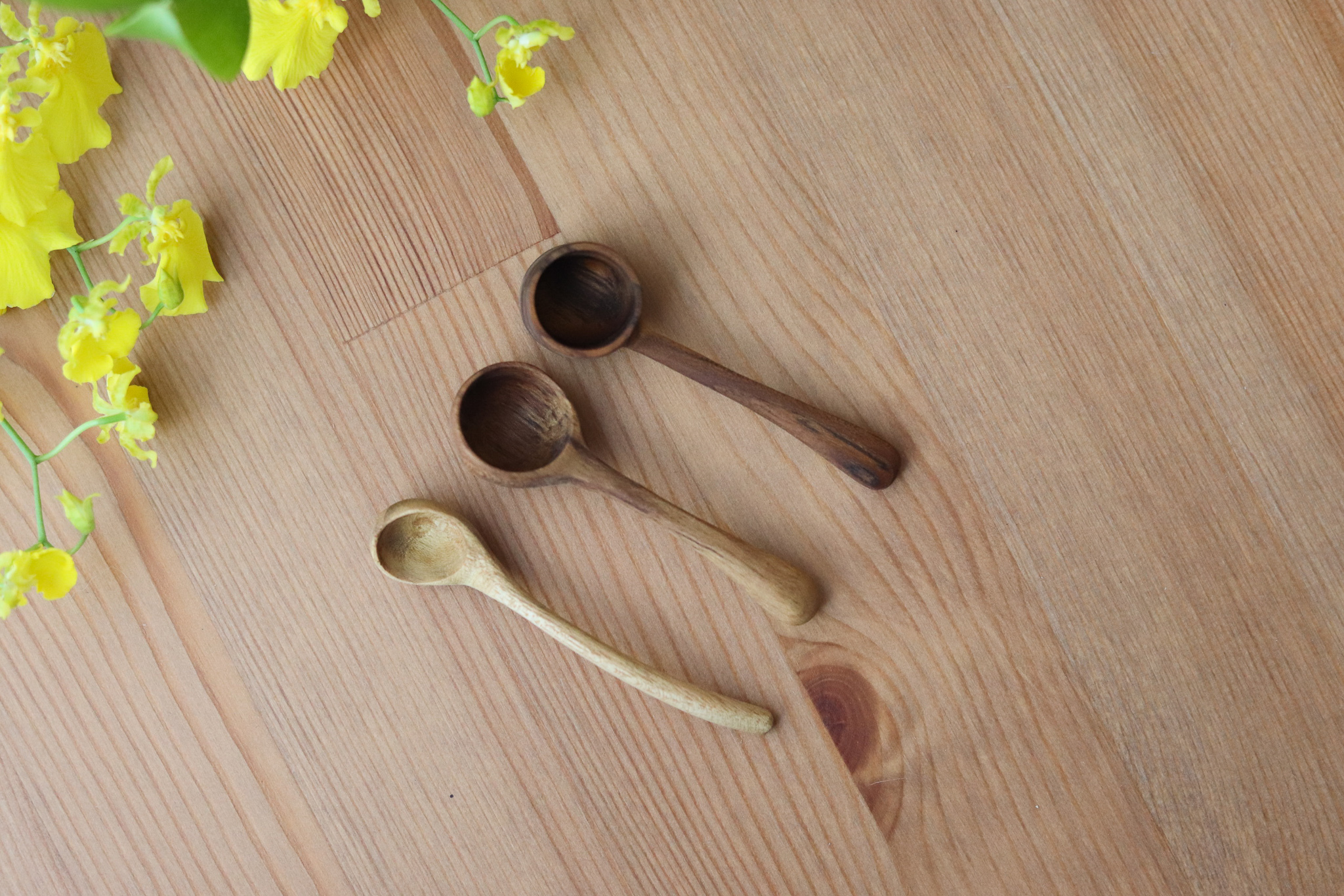 日本 Co-Labo 柚木Muddler hime 香料杓