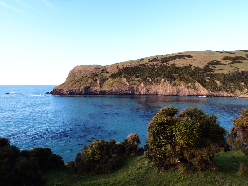 紐西蘭海灣,健行,步道,海外健行,登山,hanchor