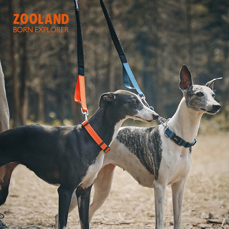 Zooland Shock Absorbing Leash Black 85cm (medium to large dogs)