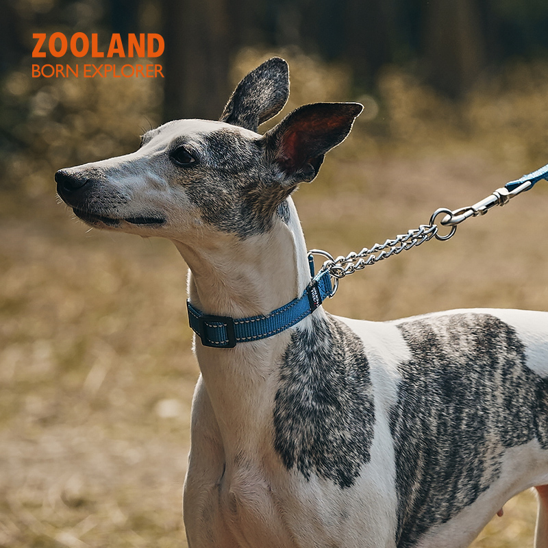 Zooland Half-Prong Training Collar Navy Blue (S/M)