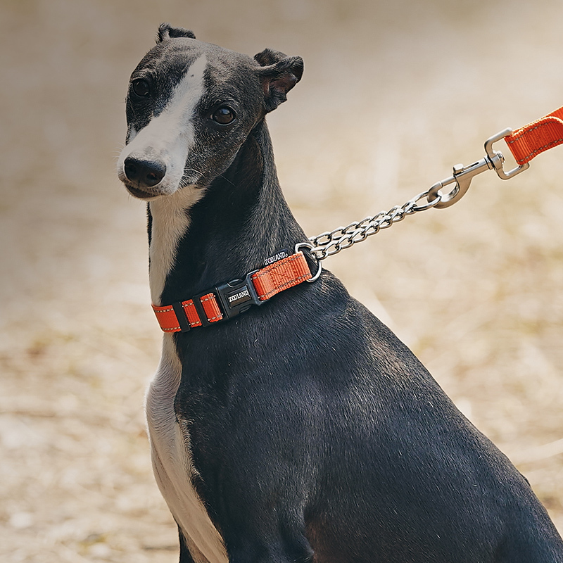 Zooland Half-Prong Training Collar Orange (S/M)