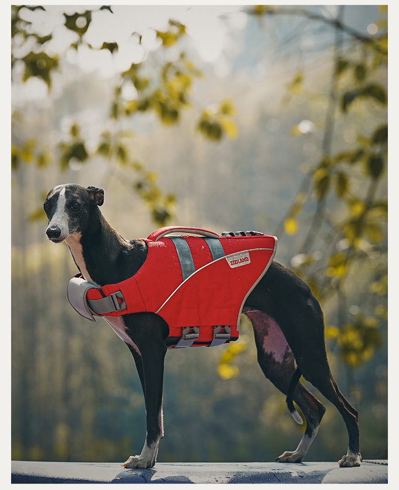 Zooland Dog Life Jacket RED  (S/M/L/XL/2XL)
