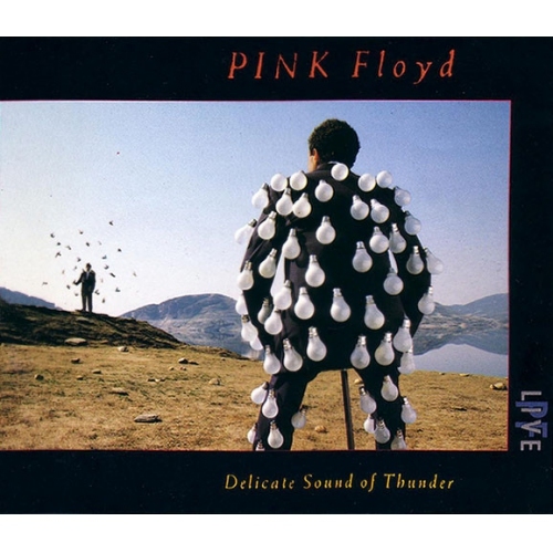 Pink Floyd - Delicate Sound Of Thunder - LIVE 2CD