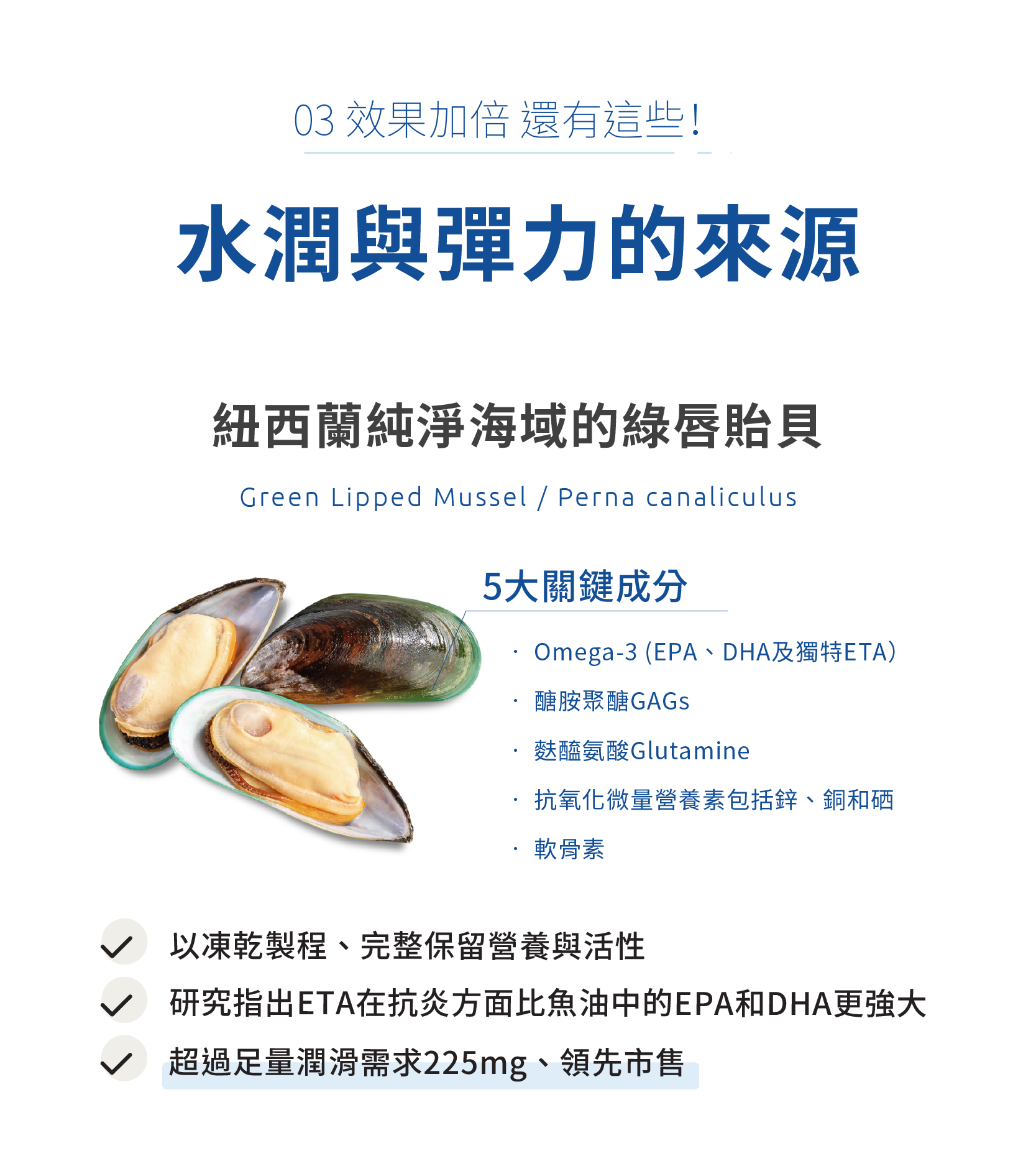 水潤與彈力關鍵