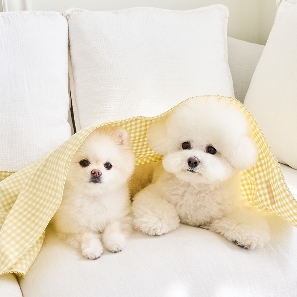 Noutti Check Blanket