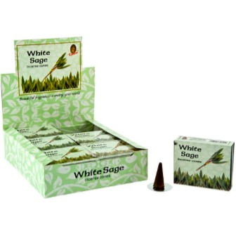 【 KAMINI | 錐香 】