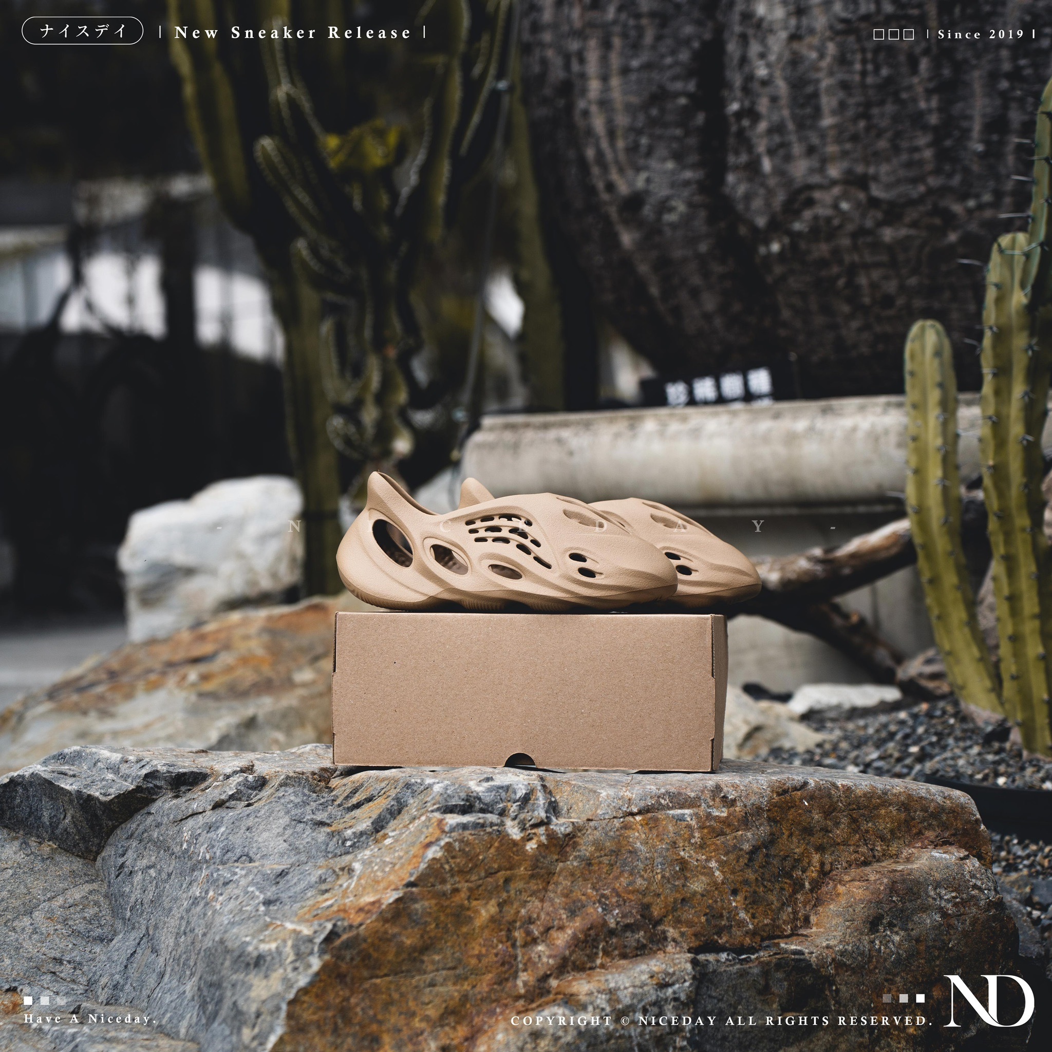 NICEDAY 代購 Adidas Yeezy Foam Runner 淺棕 卡其 男女 洞洞鞋 GV6842