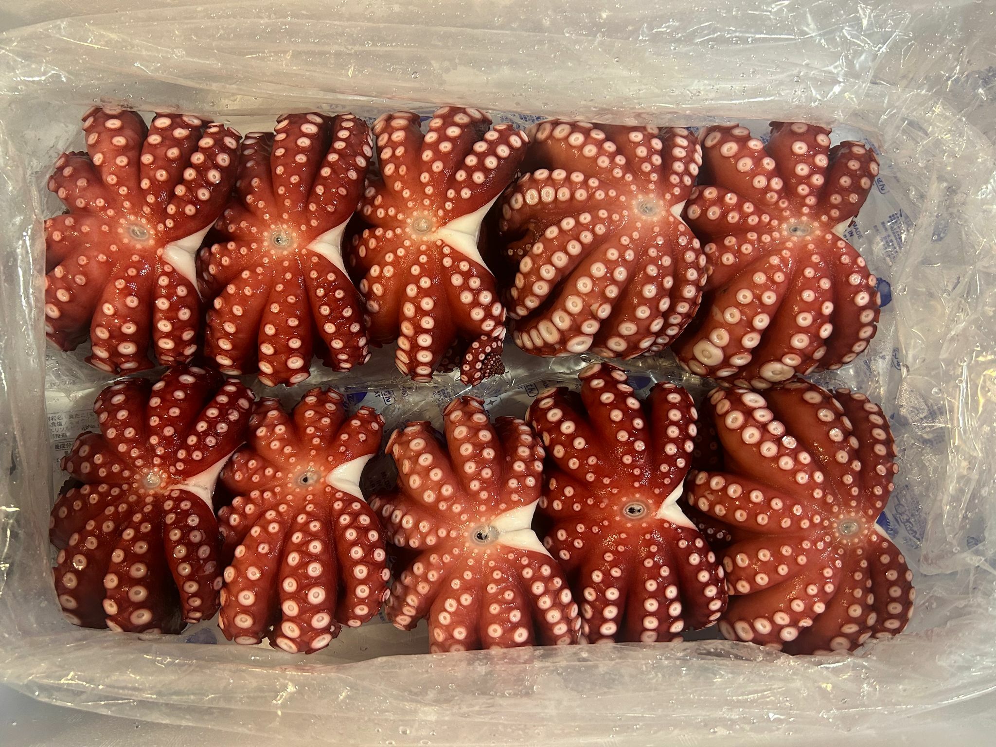 冰鮮 八爪魚 ボイルタコ 約500克