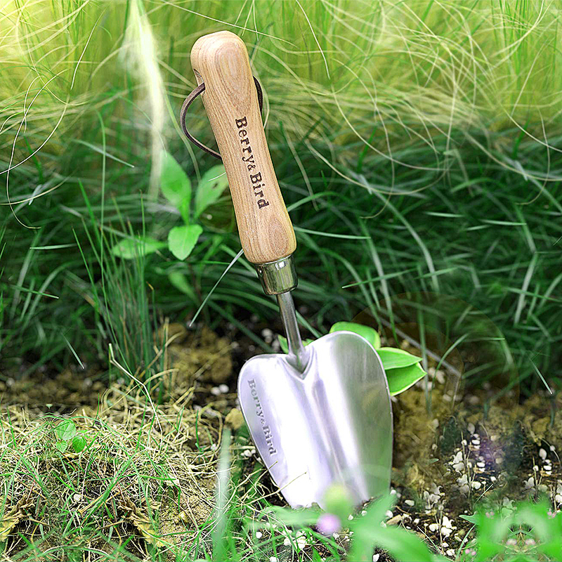 Berry Bird-不銹鋼心形手鏟