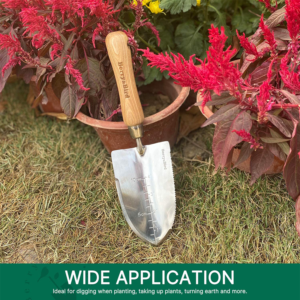 Berry Bird-不銹鋼鋸齒手鏟