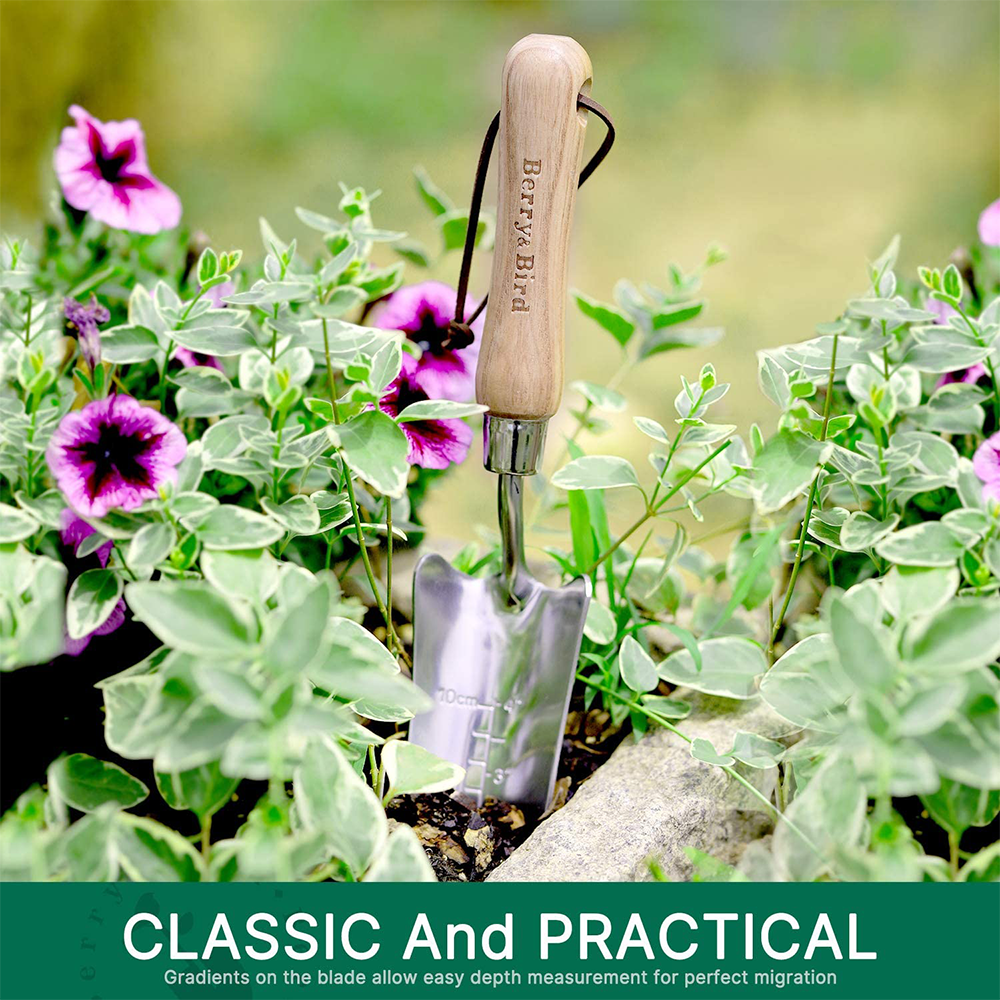 Berry Bird-不銹鋼移植手鏟