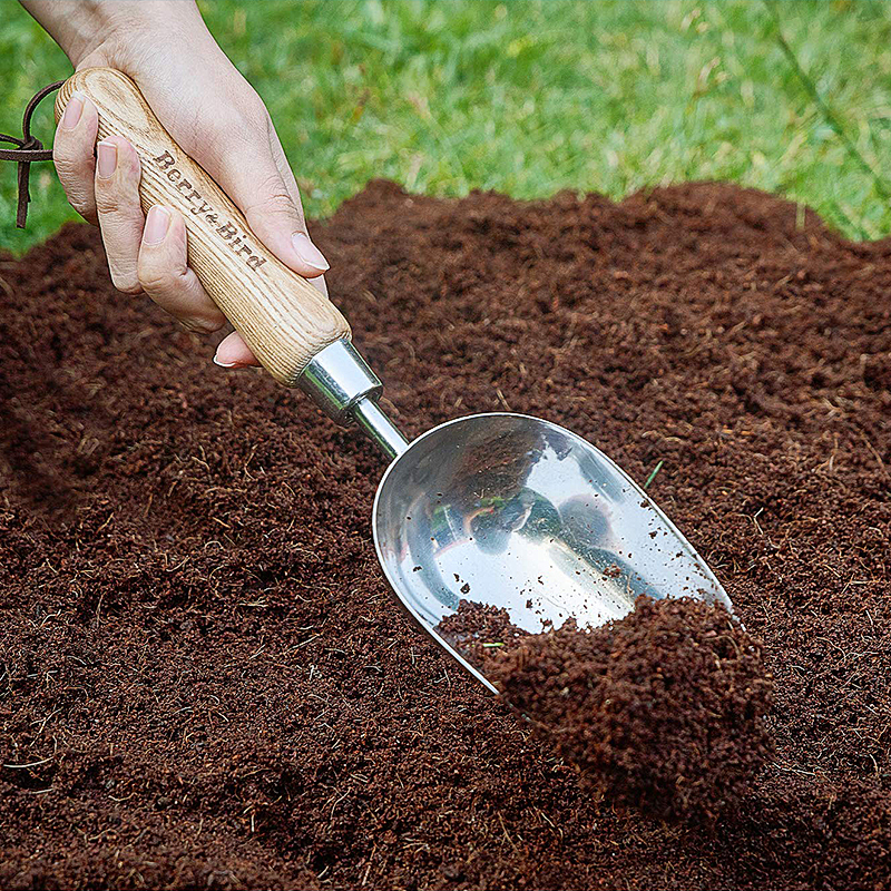 Berry Bird-不銹鋼盆栽勺