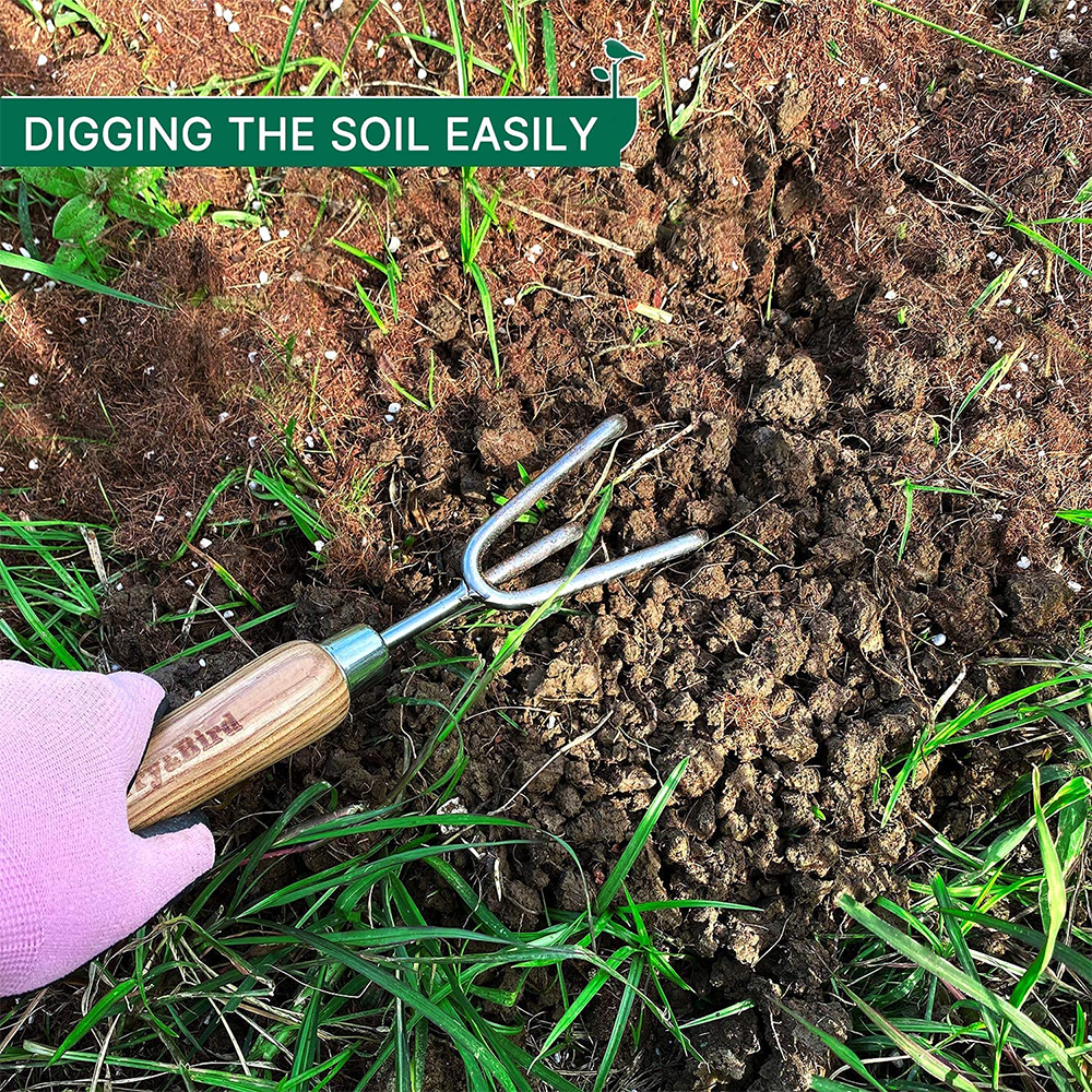 Berry Bird-不銹鋼三爪