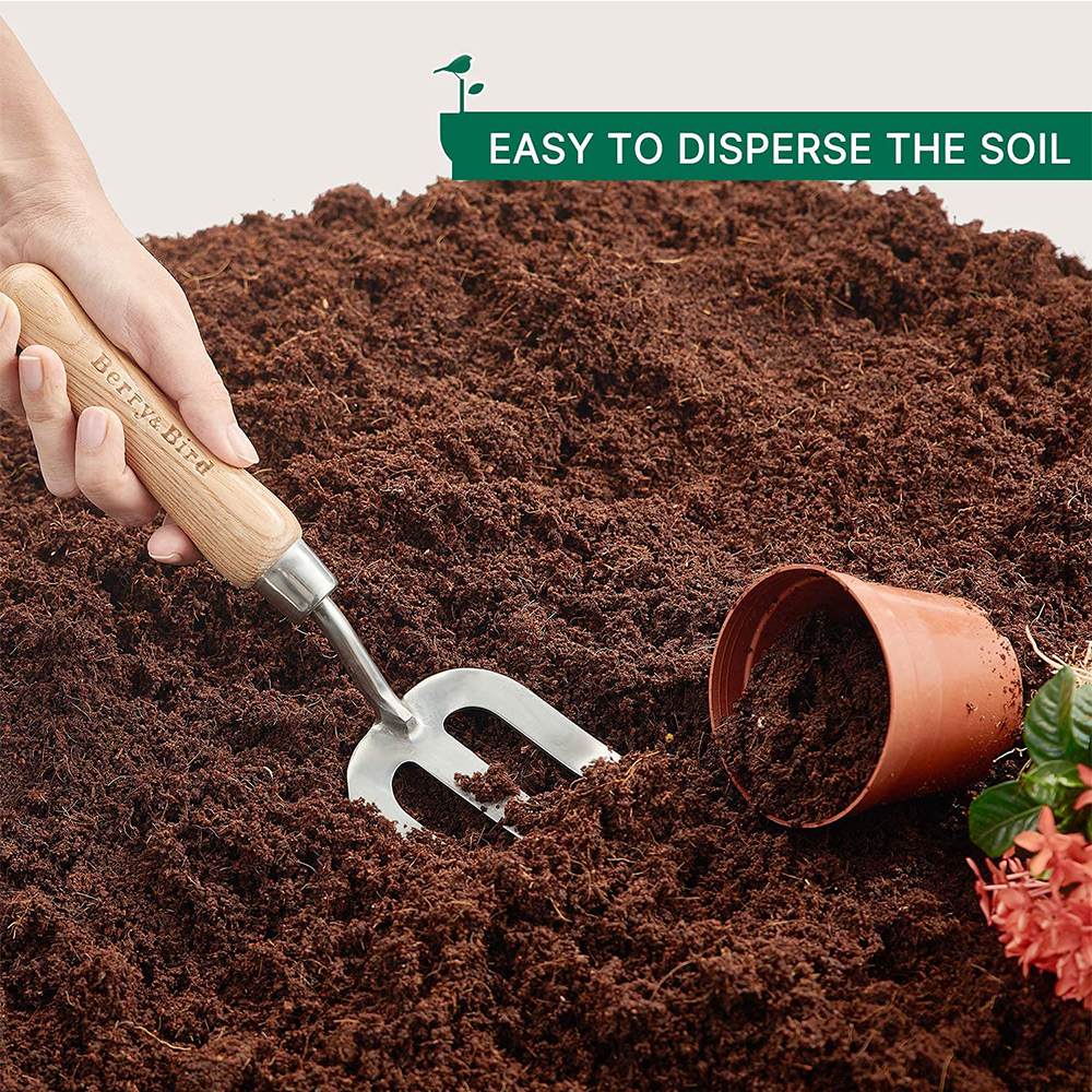 Berry Bird-不銹鋼手叉