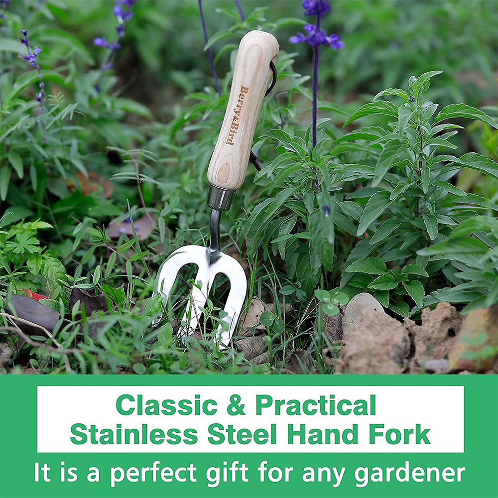 Berry Bird-不銹鋼手叉