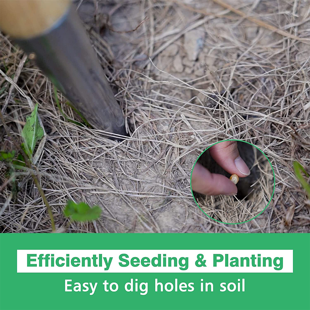 Berry Bird-不銹鋼鑽洞器