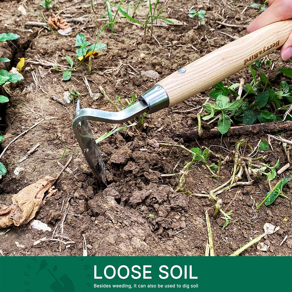 Berry Bird-不銹鋼手刮鋤