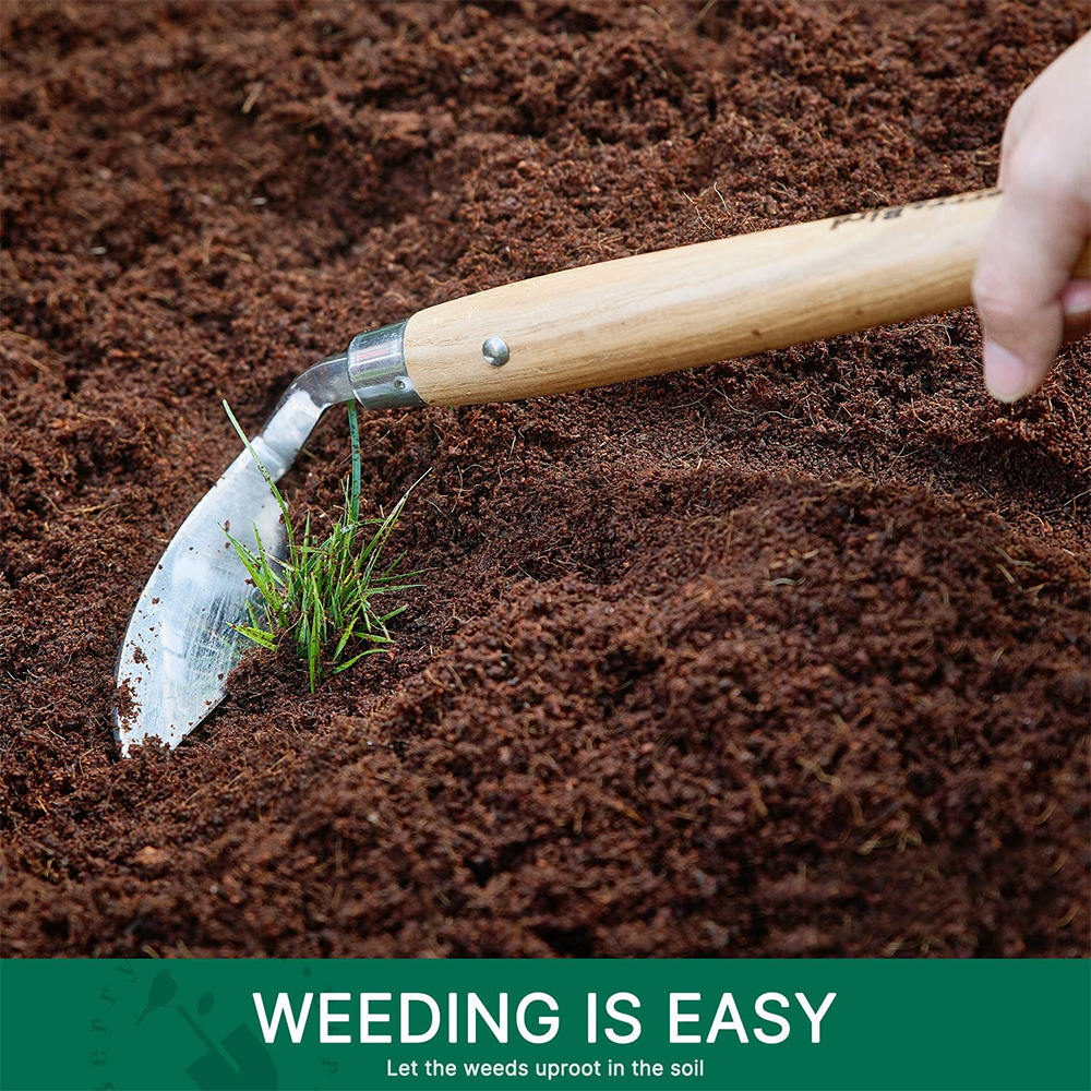 Berry Bird-不銹鋼手刮鋤