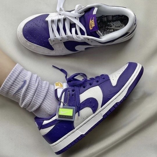 Nike Dunk Low Flip The Old School 反勾女鞋 鴛鴦 DJ4636-100