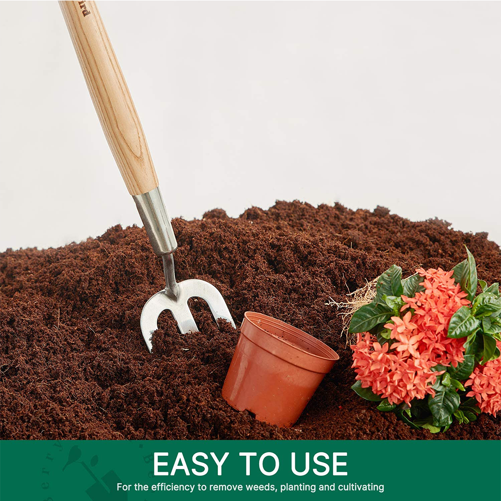 Berry Bird-不銹鋼中柄手叉