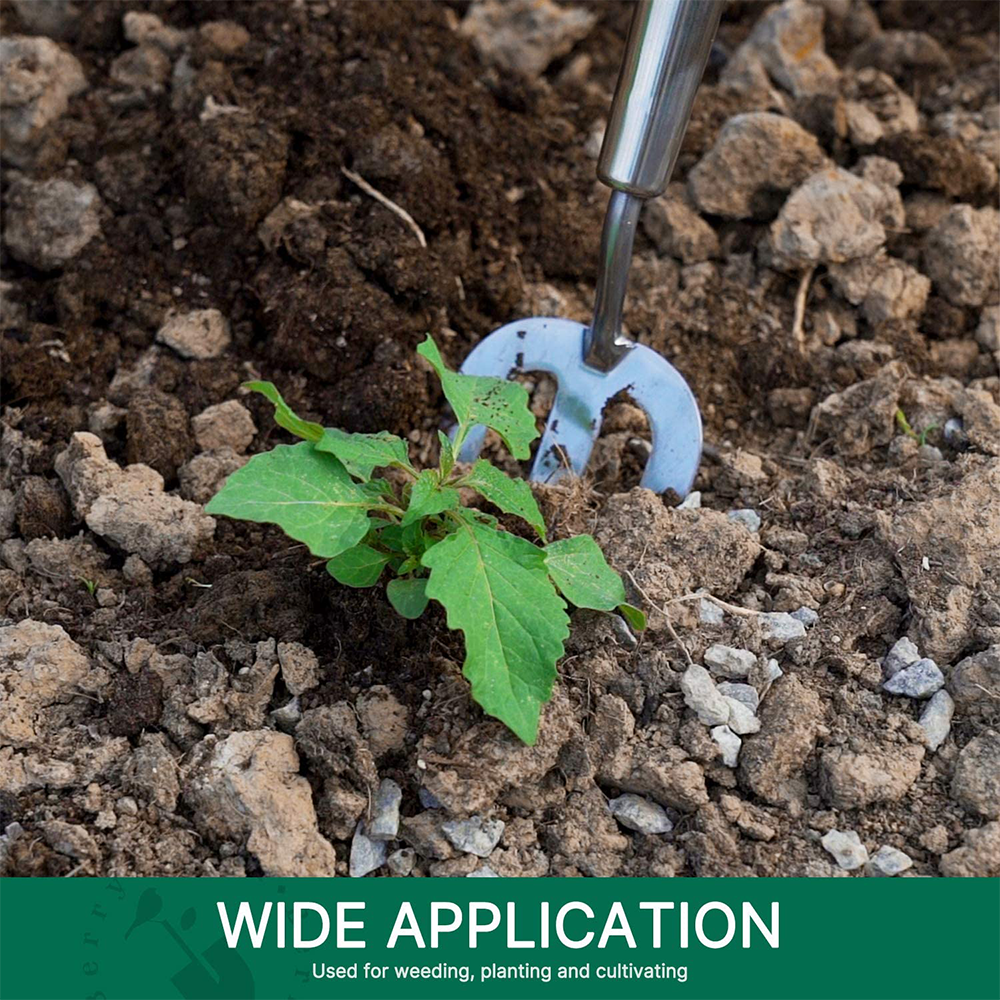 Berry Bird-不銹鋼中柄手叉