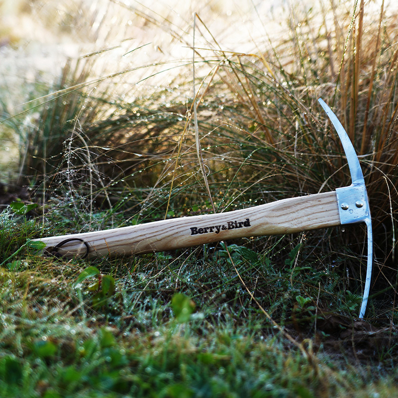 Berry Bird-不銹鋼鶴嘴鋤