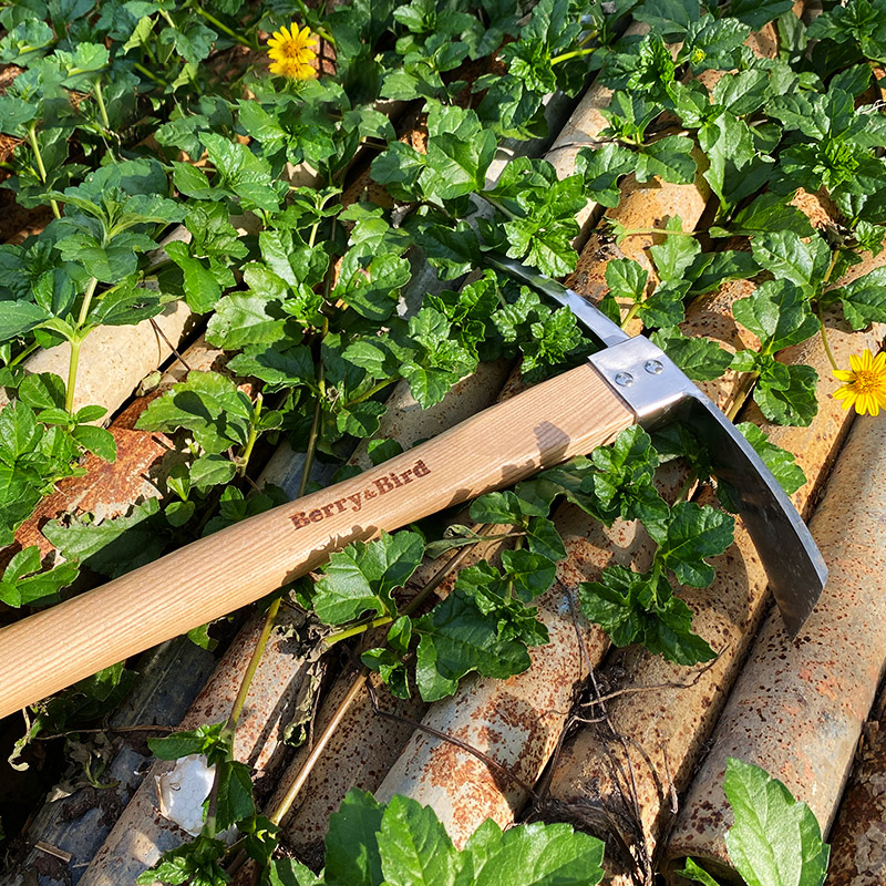 Berry Bird-不銹鋼鶴嘴鋤
