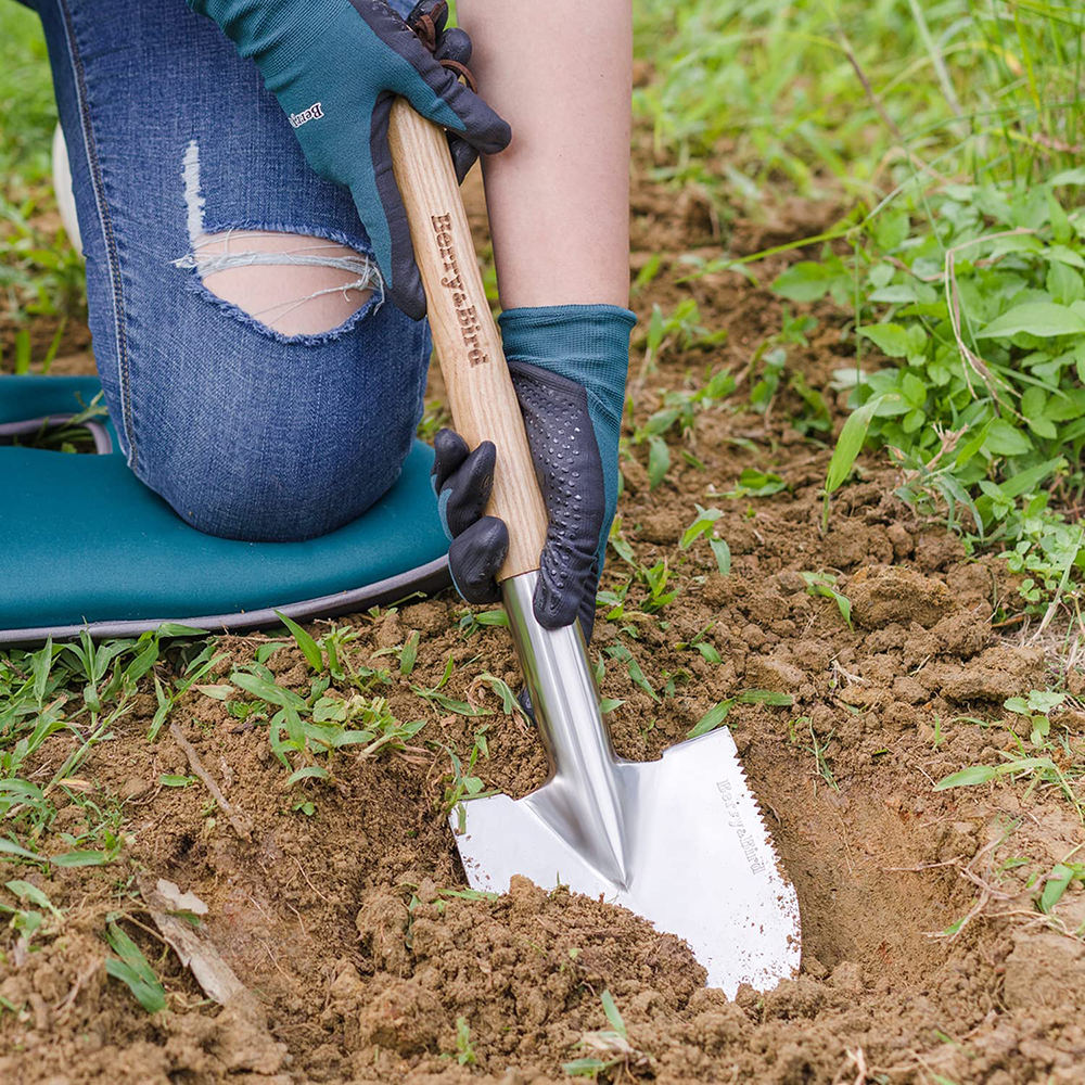 Berry Bird-不銹鋼兵工鏟