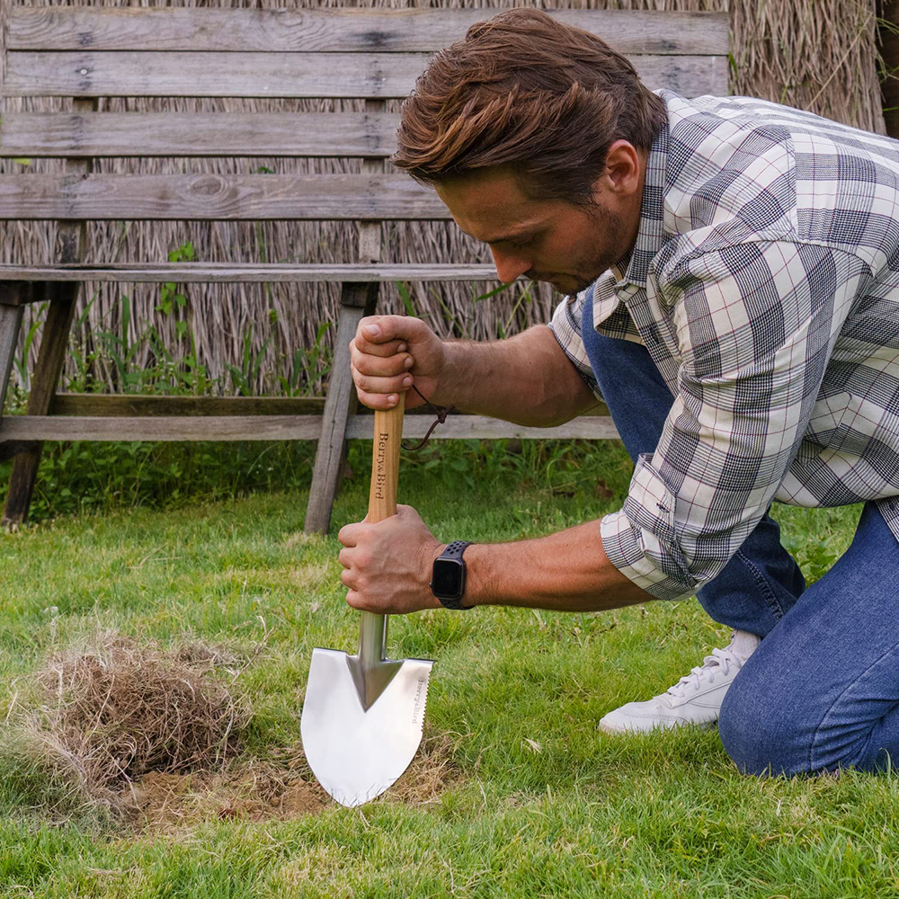 Berry Bird-不銹鋼兵工鏟