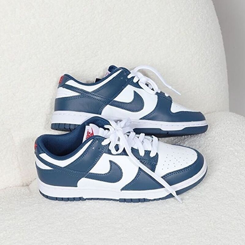 Nike Dunk Low Valerian Blue 白藏青 海軍藍 白藍紅 白藍 男鞋 DD1391-400